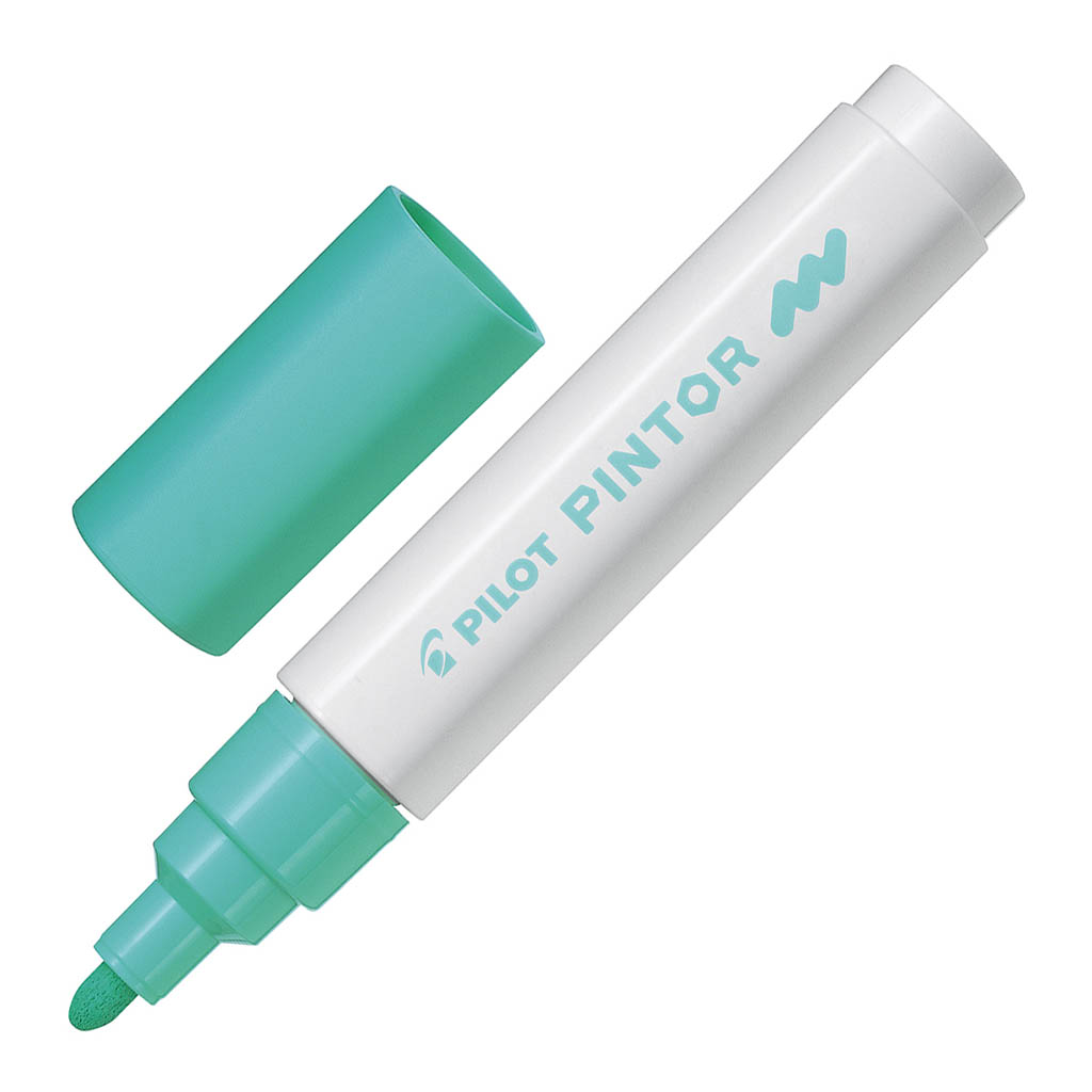 Pilot Pintor Marker Medium Pastel Green (SW-PT-M-PG)