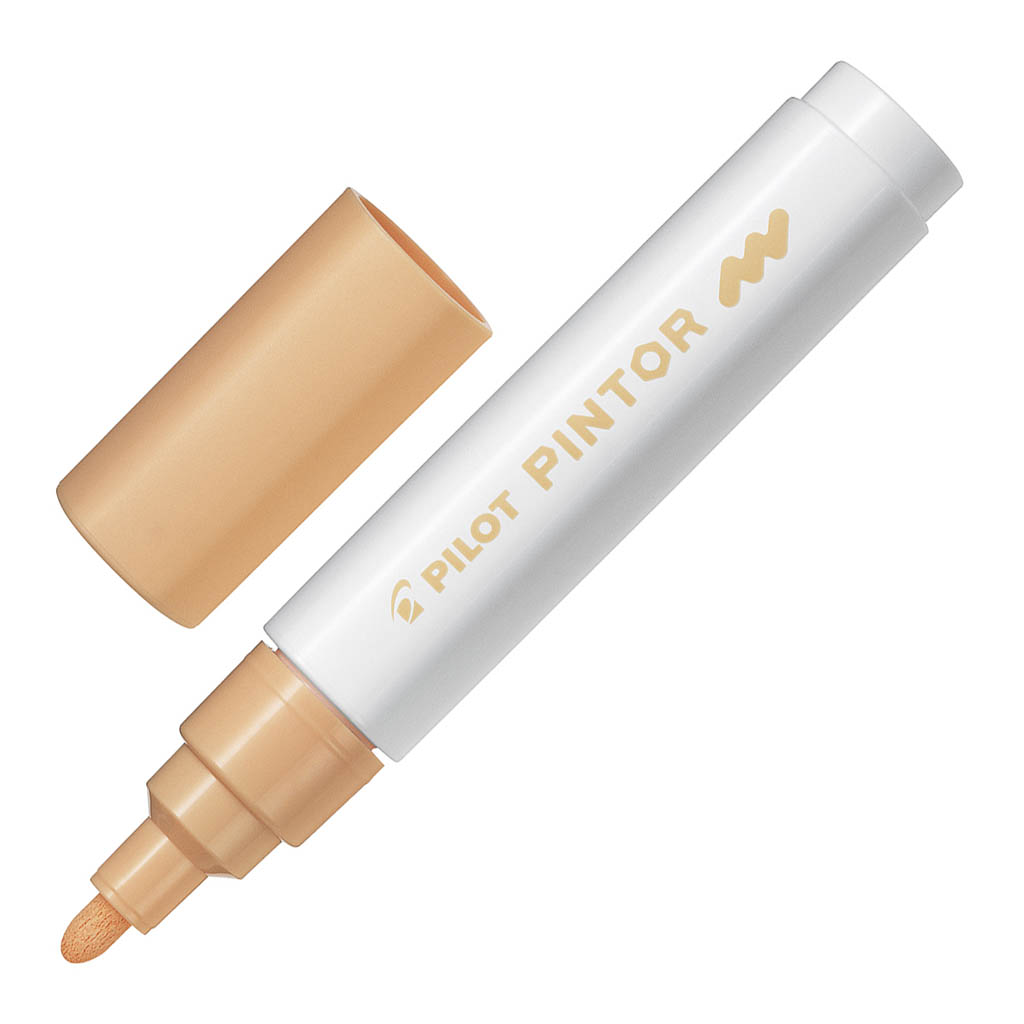 Pilot Pintor Marker Medium Pale Orange (SW-PT-M-PO)