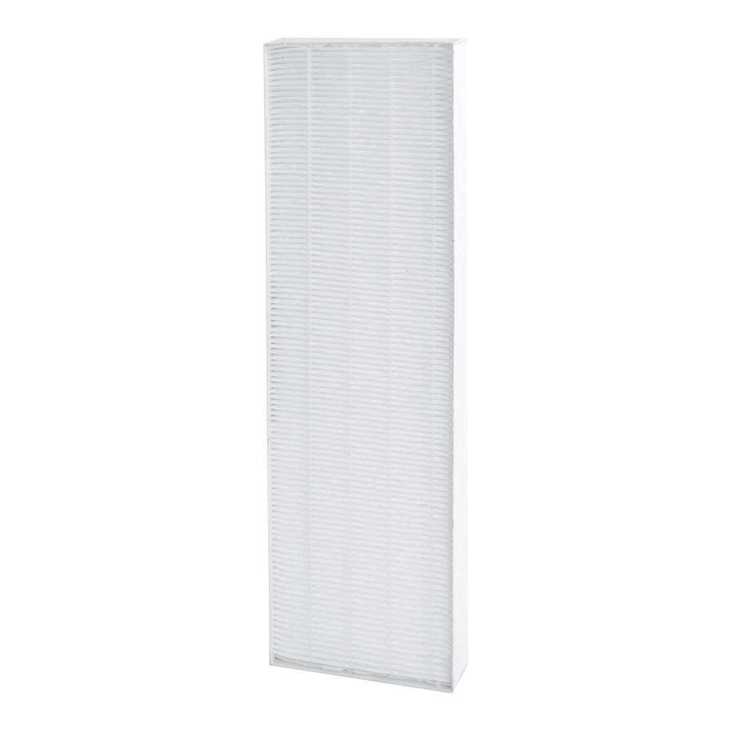 AeraMax DX5 True Hepa Filter